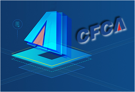 CFCA OV 通配符 SSL证书（国产）