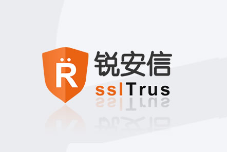锐安信 DV SSL证书（单域名）